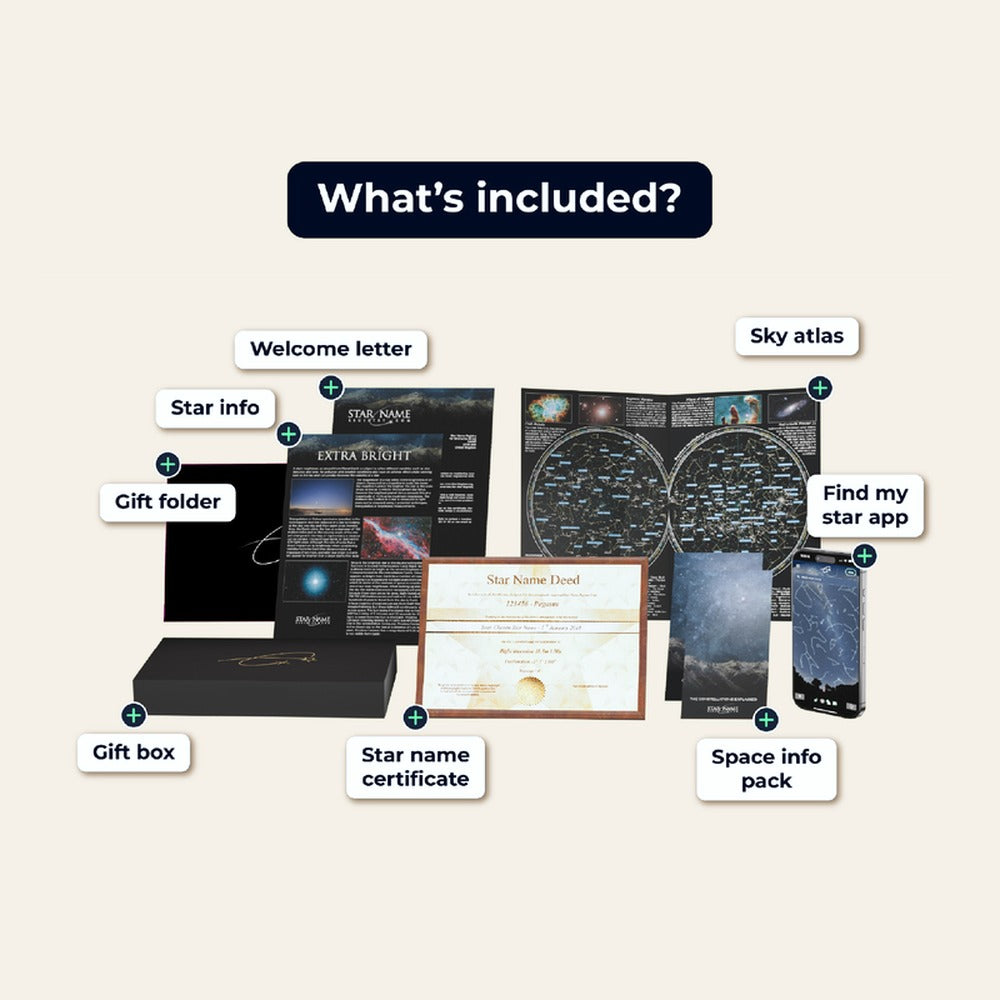 What's included in the Signature Set
