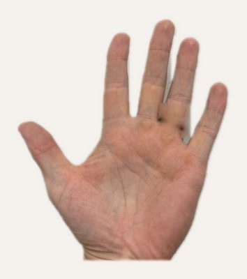 Hand laid flat on a plain light background
